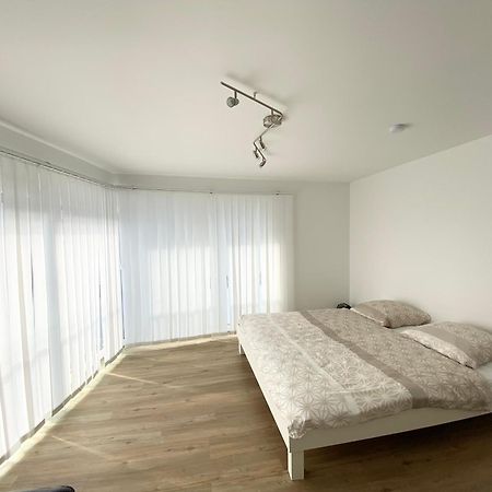 Modern One Bedroom + Bathroom Apartment, 10 Min From Basel City Grenzach-Wyhlen Exterior foto